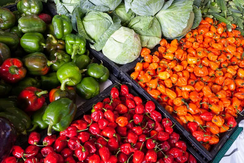 Healthy crops grown in nutrient-rich soil